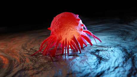 Culinária anticâncer: três aliados surpreendentes contra o avanço do tumor