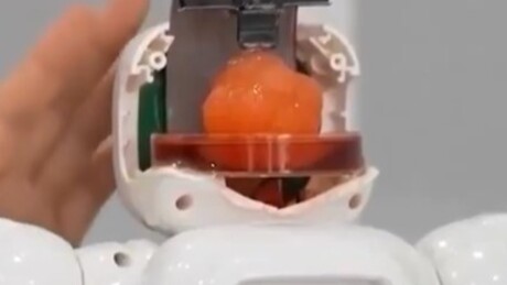 Chineses criam robô controlado por células cerebrais humanas (VÍDEO)