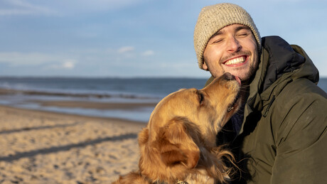 STJ permite que companhias aéreas recusem transporte de animais de suporte emocional