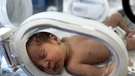 Brasil registra menor número de nascimentos desde 1976, aponta IBGE