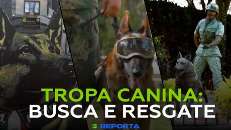 Tropa canina: busca e resgate - RT Reporta