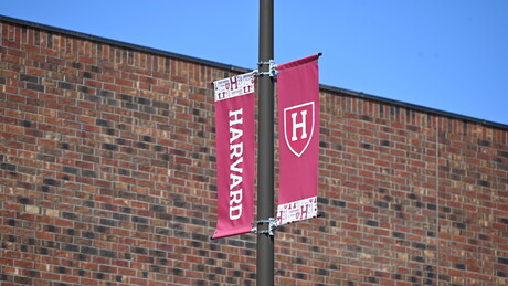 Estudantes na mira: Trump suspende vistos e estuda vasculhar redes sociais, afirma imprensa dos EUA