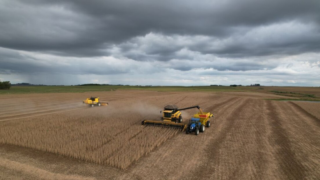 Brasil perde chance de alavancar exportações de soja para a China