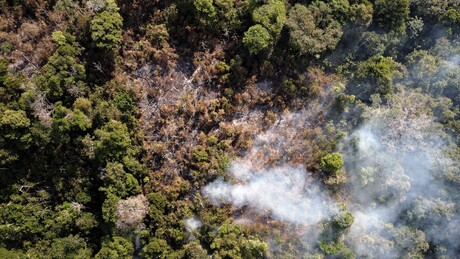 Desmatamento na Amazônia sobe 91% em maio e equivale a 134 mil campos de futebol