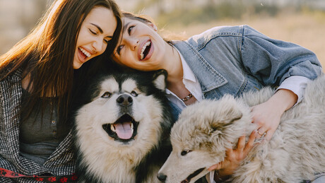 Algumas pessoas podem realmente se parecer com seus cães?