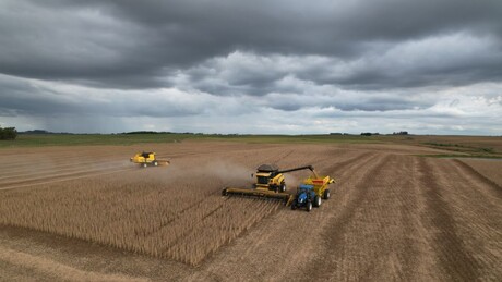 Brasil perde chance de alavancar exportações de soja para a China