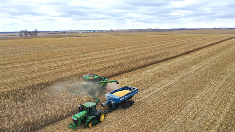 Agro atinge recorde e emprega 28,5 milhões de brasileiros no 1º trimestre