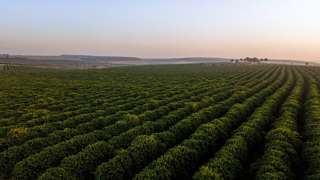BRICS avançam em iniciativa de commodities: 'desenvolver um sistema comercial agrícola justo'