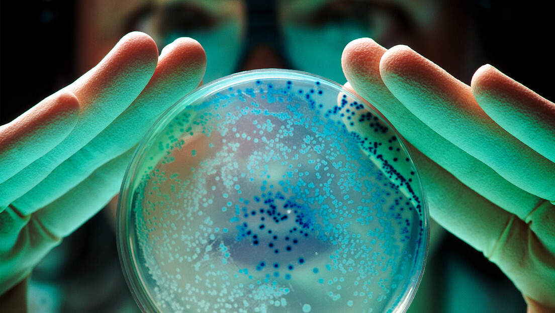 'É como um fantasma': gene que torna bactérias invencíveis se espalha pelo mundo