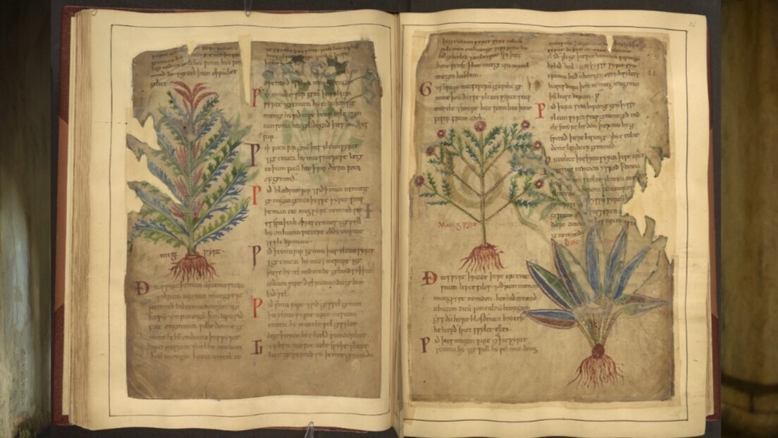 TikTok está redescobrindo a medicina medieval, diz pesquisa surpreendente