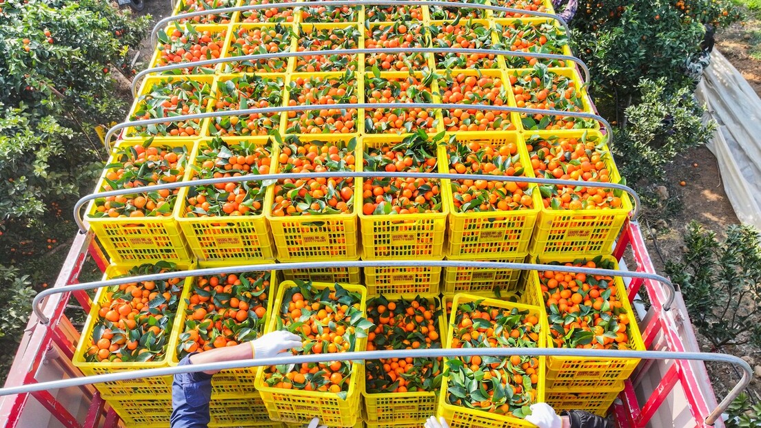 Importadora de suco do Brasil aciona Justiça dos EUA contra tarifa anunciada por Trump