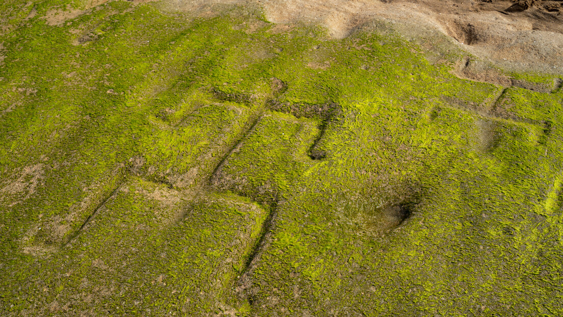 Maré baixa revela arte havaiana de 600 anos escondida sob a areia