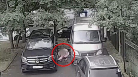 FSB prende jovem que tentou cometer ataque terrorista na Rússia (VÍDEO)