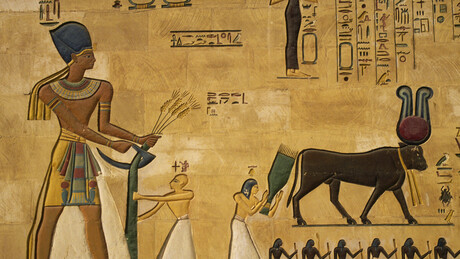 Fungo ligado à 'maldição do faraó' mostra potencial contra o câncer