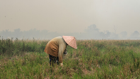 Cientistas descobrem mais duas estações climáticas