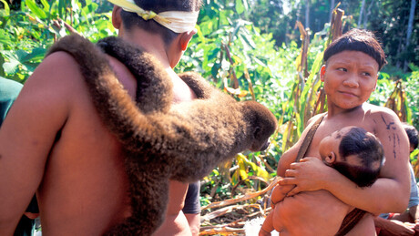 'Queremos Starlink': de tribo isolada à busca por internet via satélite na Amazônia