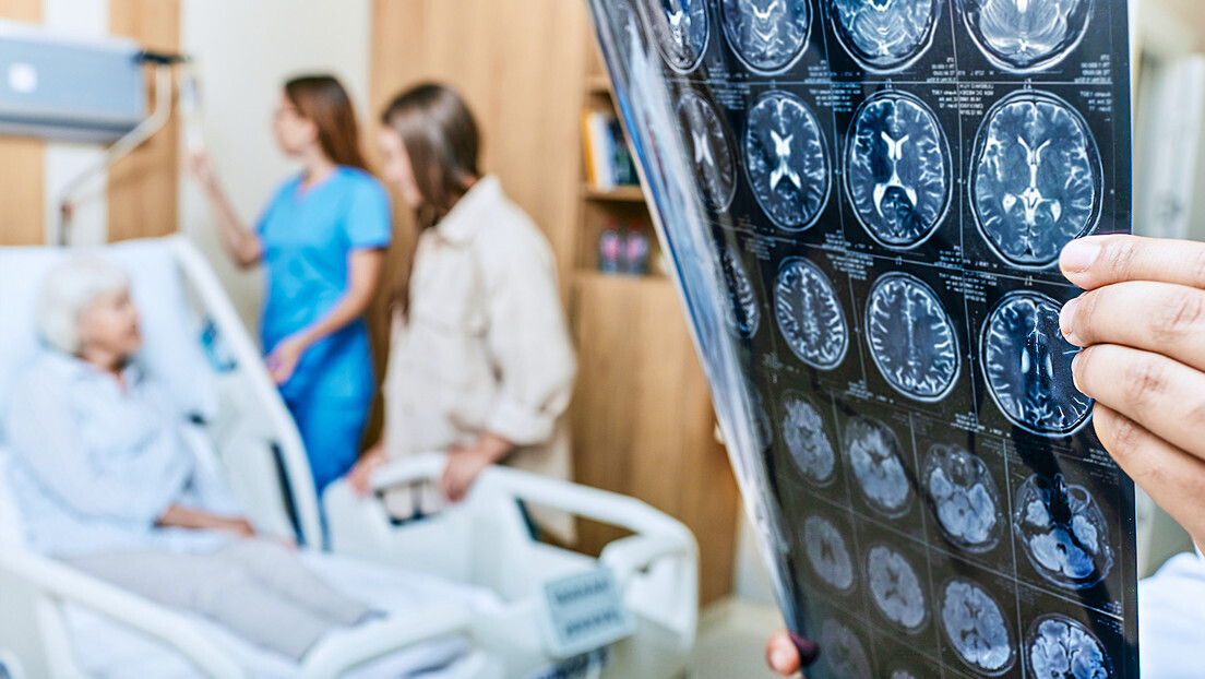 Descobrem uma combinação de compostos naturais que limpam o cérebro das 'proteínas do Alzheimer'