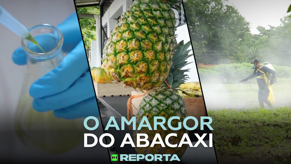 O amargor do abacaxi - RT Reporta