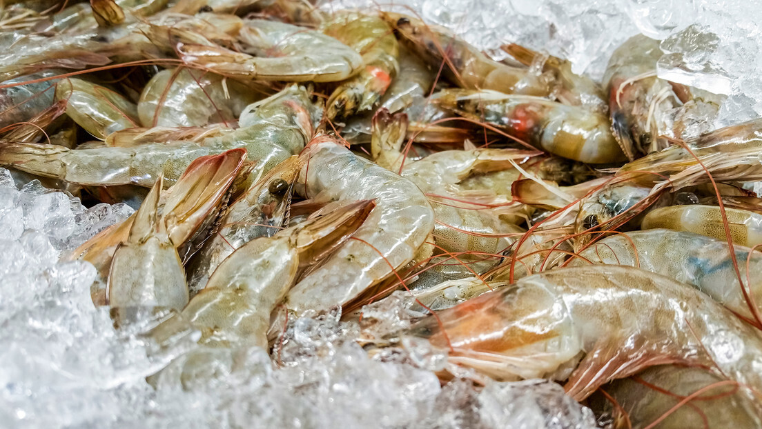 EUA retiram 'camarões radioativos' de circulação: o que está acontecendo?