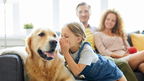 IA pode nos ajudar a 'conversar' com animais