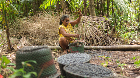 A pedido do Ministério do Turismo, pratos paraenses serão permitidos na COP 30