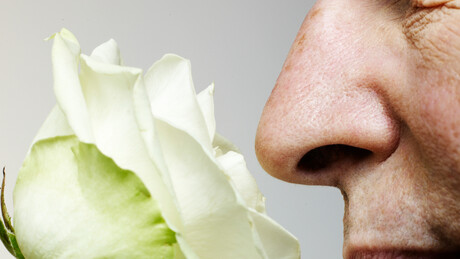 Perda do olfato pode ser um sinal precoce de Alzheimer, afirma estudo