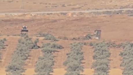 Israel destrói 3 mil oliveiras em vilarejo na Cisjordânia ocupada