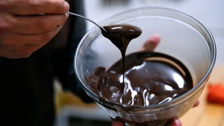 Estudo revela que chocolate perfeito depende da combinação de fungos e bactérias