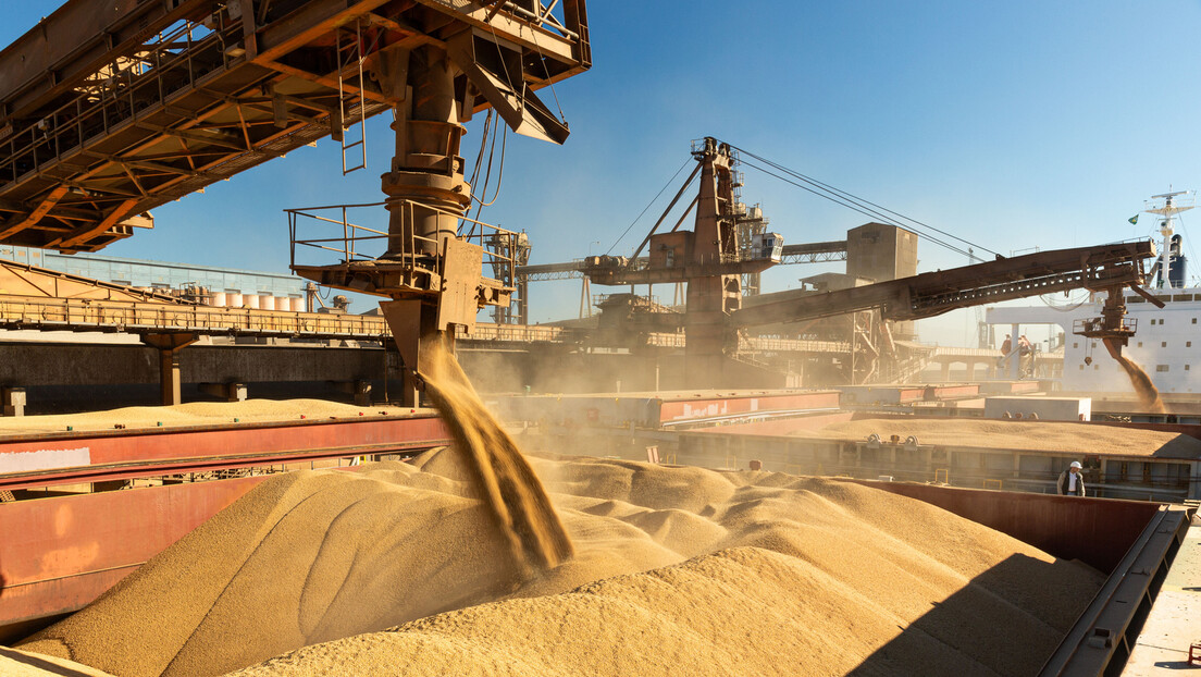 Exportações argentinas de soja para a China disparam e geram preocupação nos EUA