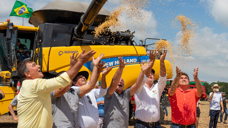 Imprensa britânica critica indústria da soja por desmatamento de Amazônia