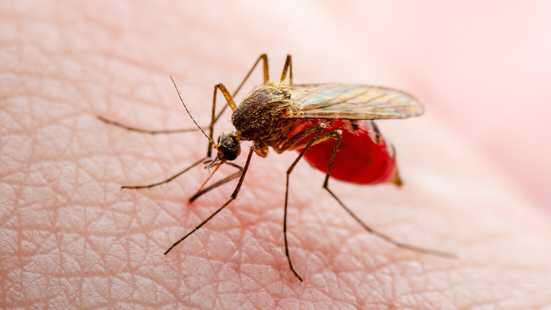 Brasil inaugura a maior fábrica do mundo de combate ao mosquito da dengue