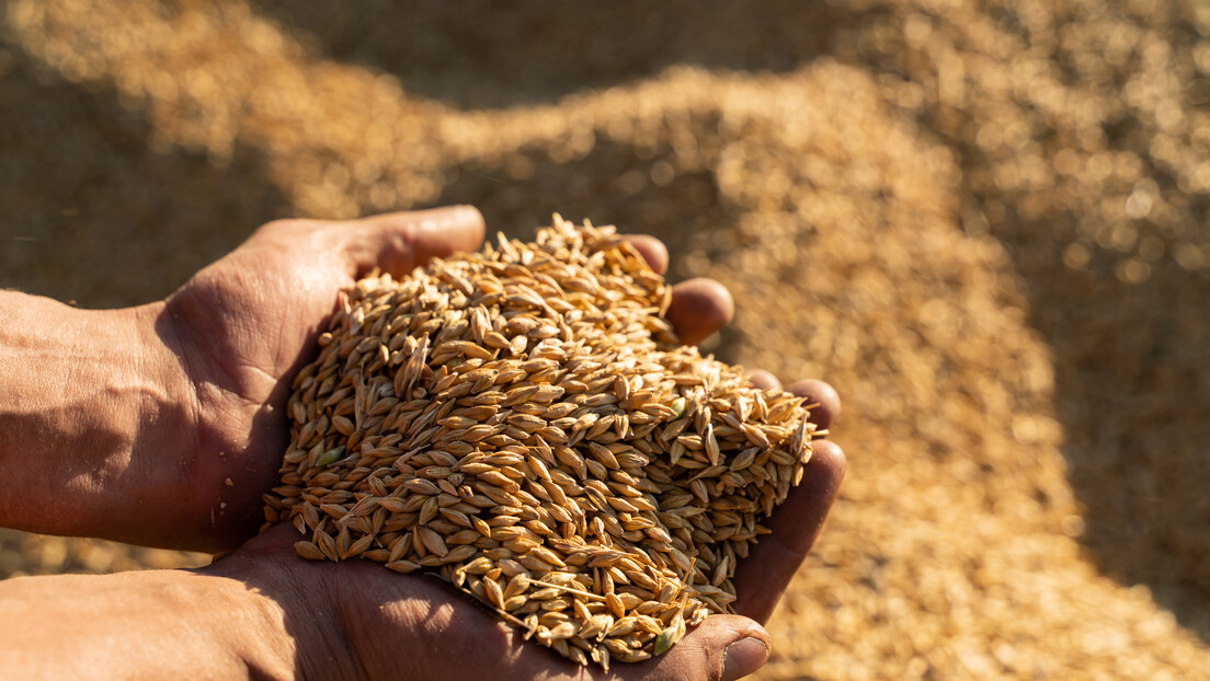 Rússia desenvolverá plano para criação da 'bolsa dos BRICS' até julho de 2026