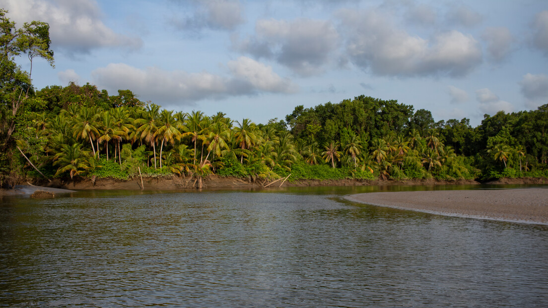 Ibama recebe projeto de R$ 46 mi da Petrobras para reduzir danos na perfuração da Foz do Amazonas