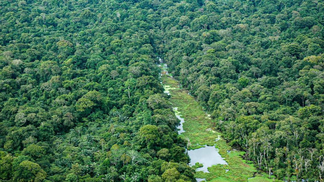 'Aprendam com o Brasil': The Economist elogia esforços brasileiros na preservação das florestas