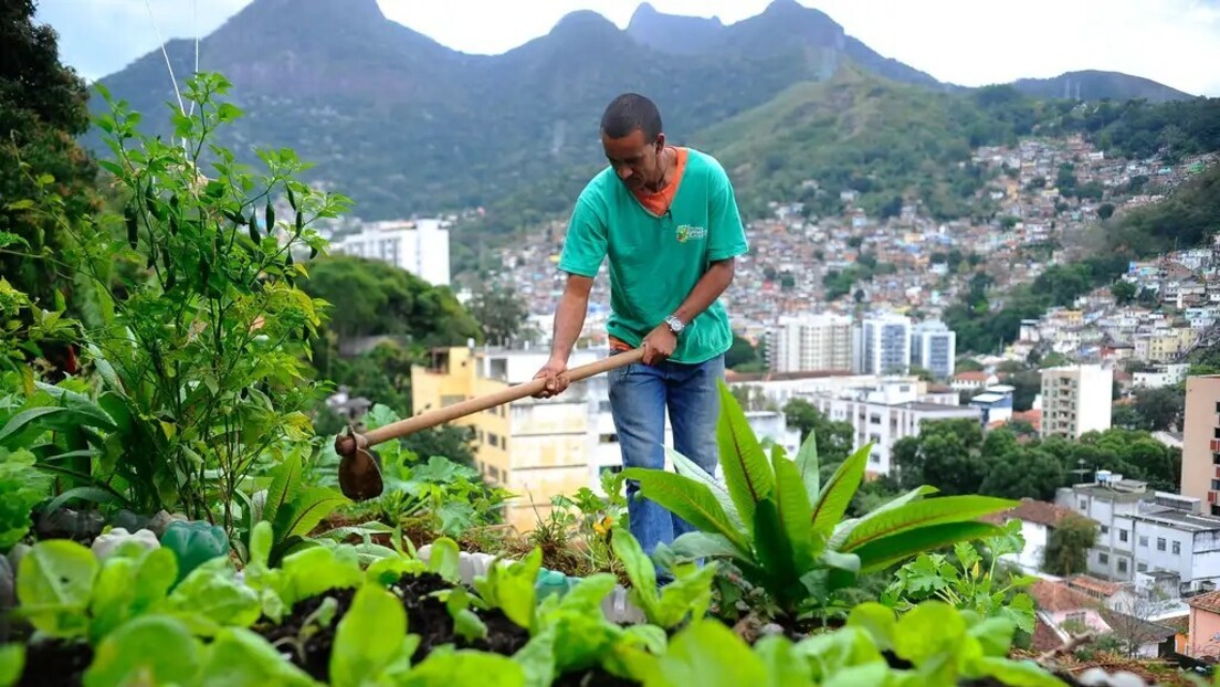 Comissão da Câmara aprova uso de terrenos da União para hortas comunitárias