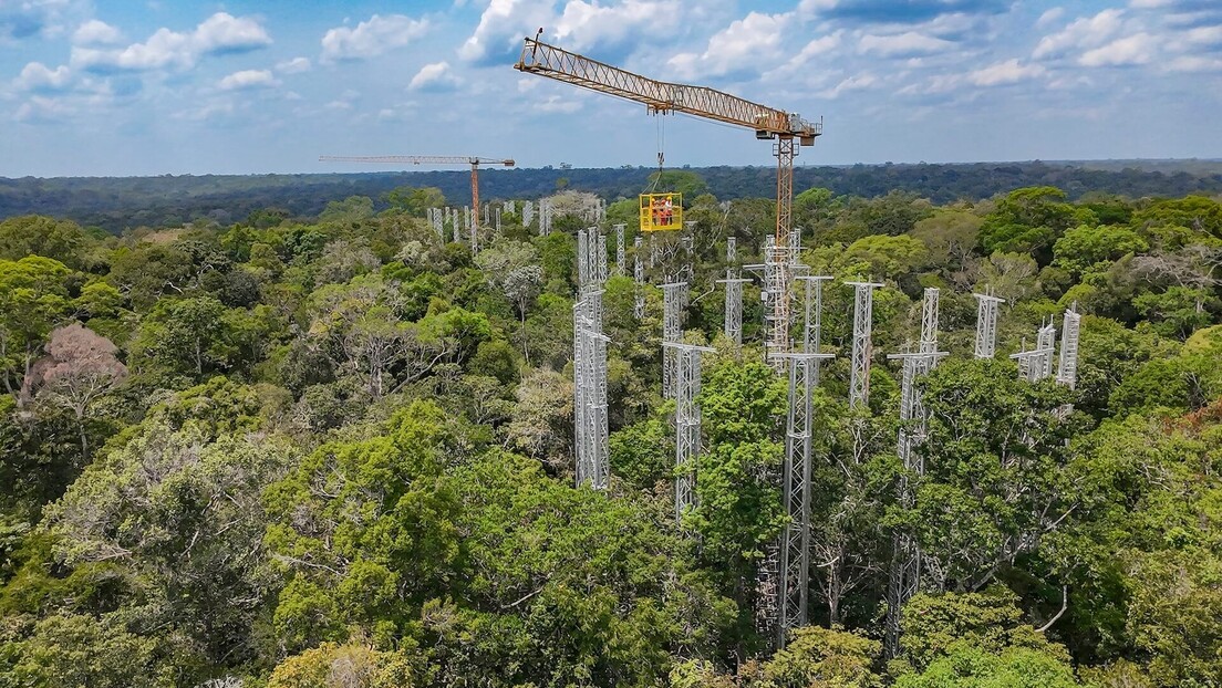 AmazonFACE: Brasil cede participação ao Reino Unido em megaprojeto científico na Amazônia