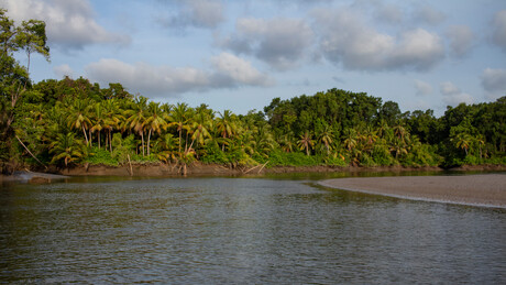 Ibama recebe projeto de R$ 46 mi da Petrobras para reduzir danos na perfuração da Foz do Amazonas