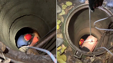 VÍDEO: resgate dramático de cachorrinha que caiu dentro do esgoto