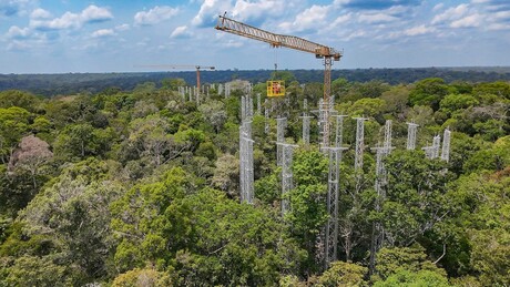 AmazonFACE: Brasil cede participação ao Reino Unido em megaprojeto científico na Amazônia