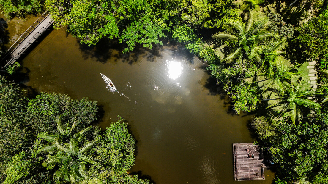 Países amazônicos irão unificar monitoramento da floresta com apoio do BNDES