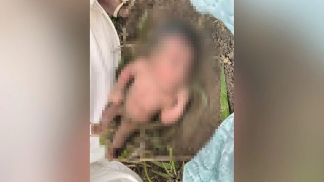 Mãe que abandonou recém-nascida em formigueiro admite crime e é liberada