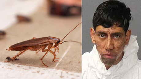 Homem mata duas pessoas e afirma ter recebido a ordem em mensagem criptografada em barata