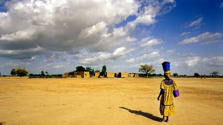 Influenciadora do Mali é sequestrada e executada publicamente por postar vídeo no TikTok