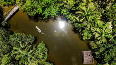 Países amazônicos irão unificar monitoramento da floresta com apoio do BNDES