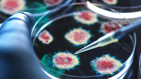 Cientistas desenvolvem novos vírus mortais