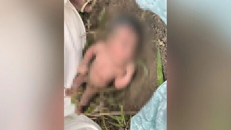 Mãe que abandonou recém-nascida em formigueiro admite crime e é liberada