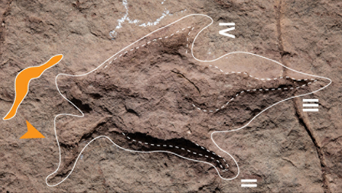 Maior descoberta de pegadas de dinossauros é feita na Bolívia