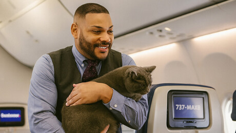 Gatinho perdido rouba a cena em avião - VÍDEO