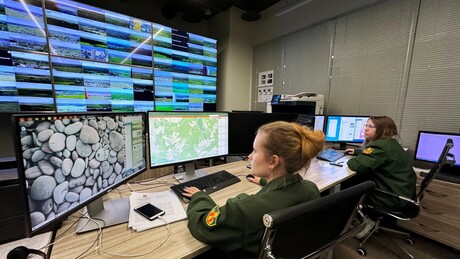 Rússia acelera modernização do setor florestal com IA, drones e biotecnologia