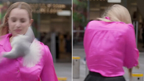 VÍDEO: jornalista leva 'passarada' no rosto em plena gravação